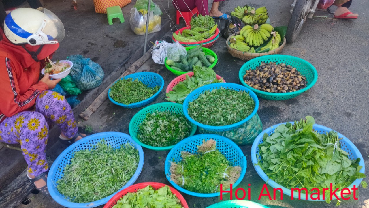 hoi an city tour