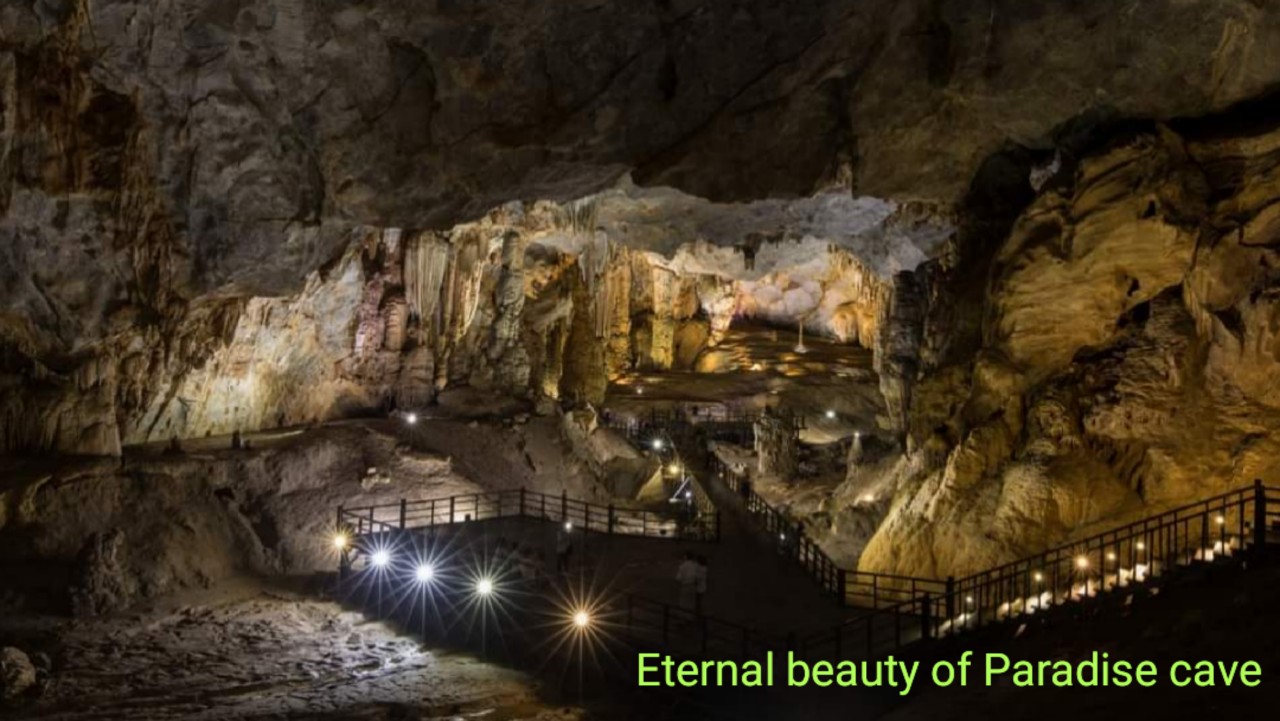 phong nha and paradise cave private trip