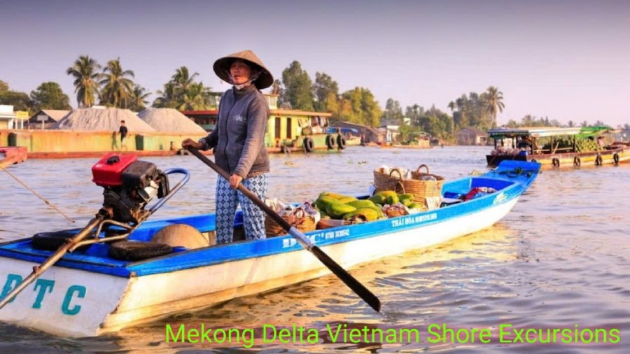 mekong-delta-vietnam-shore-excursions