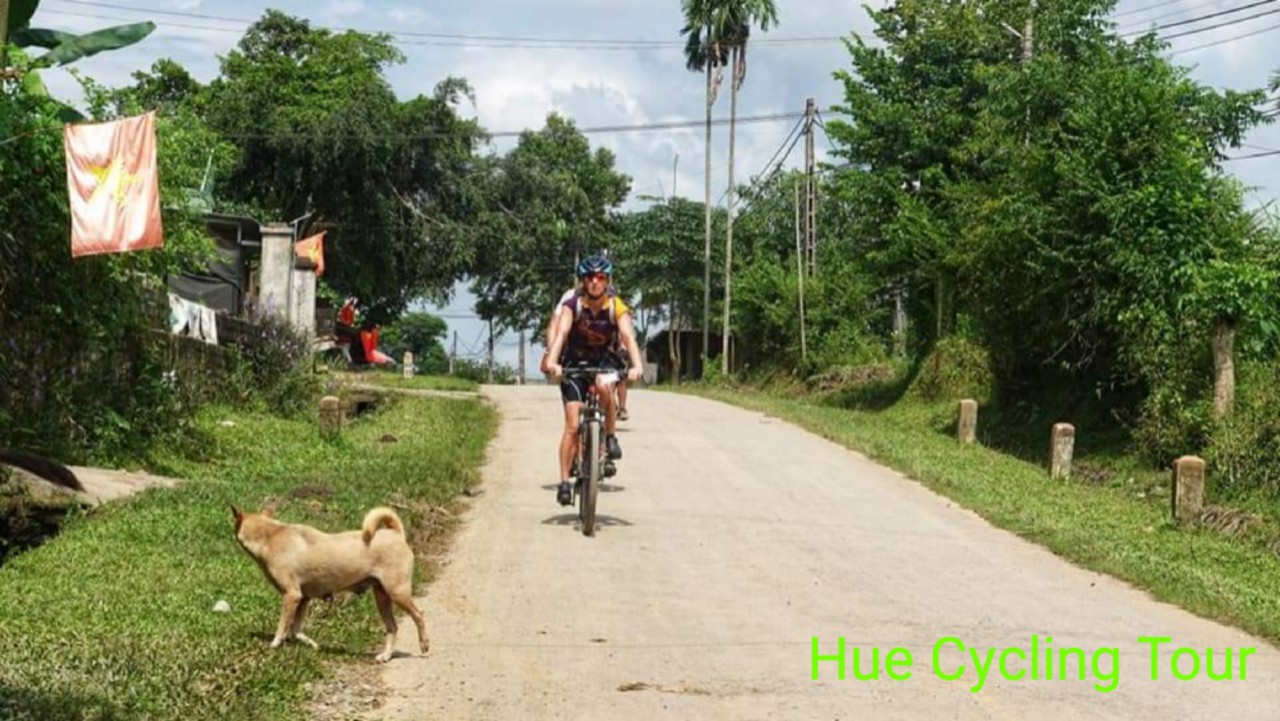 hue cycling tour