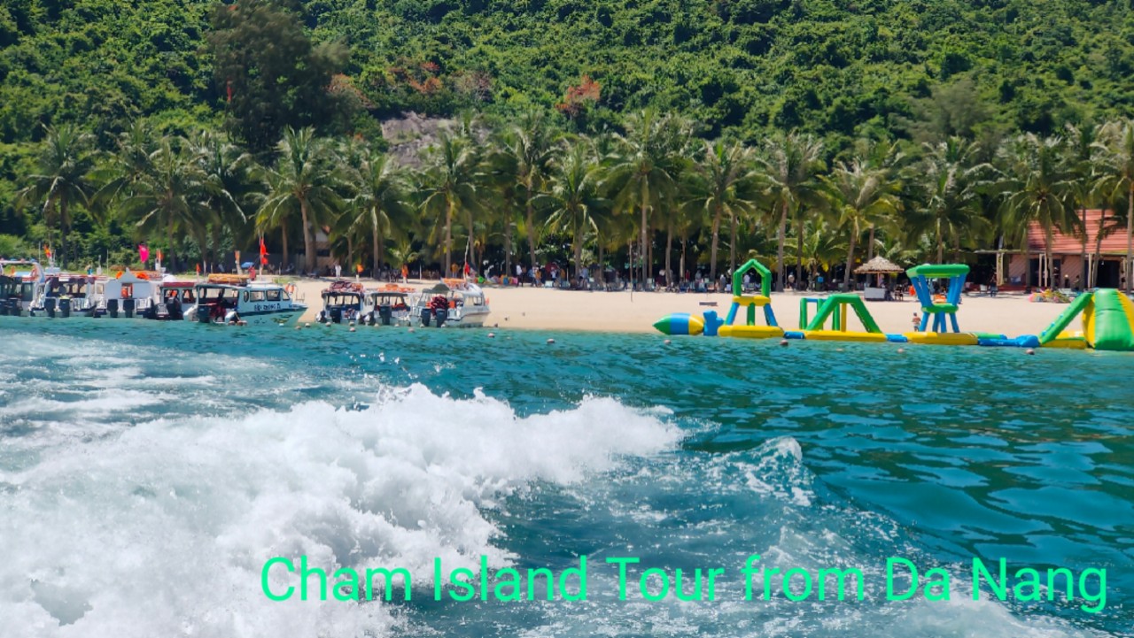 cham-island-tour-from-da-nang2