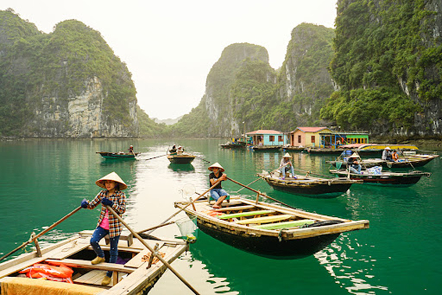 vietnam tour packages from south africa