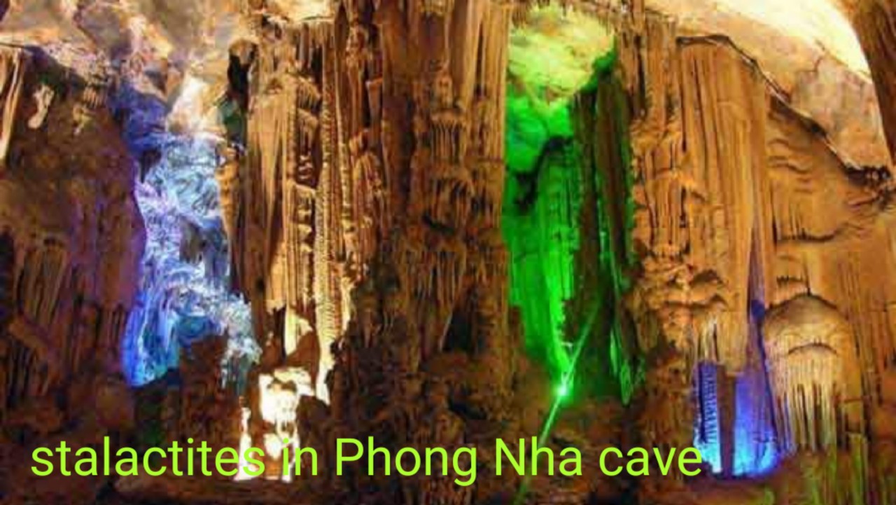phong-nha-cave-vietnam8